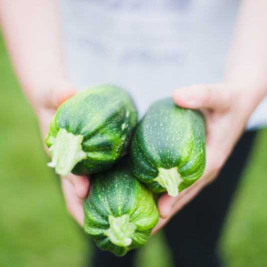 Zucchini Hummus Fertility Superfood