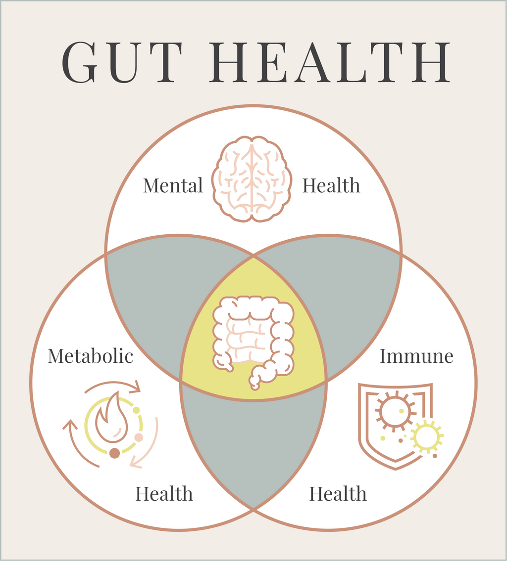 Deeper Dive Gut Healing Protocol (Gut Urine Test Included)