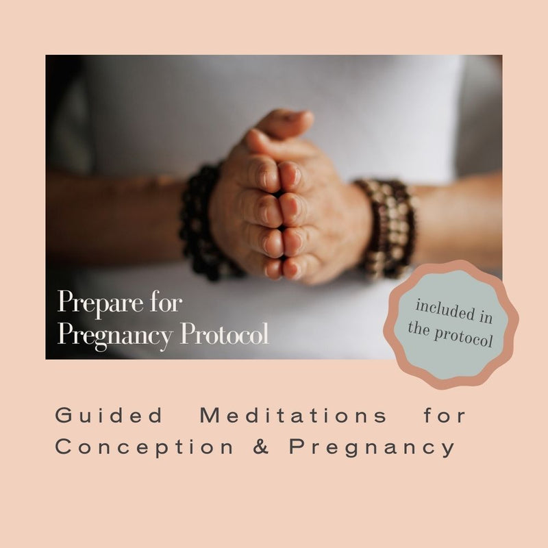 Prepare for Pregnancy Protocol - Self Study Course