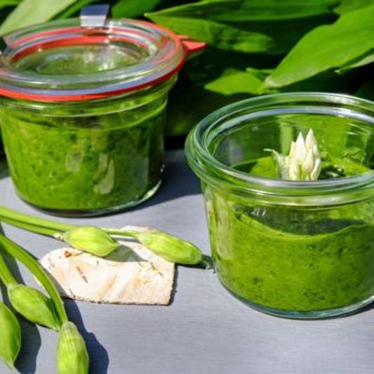 AVOCADO CHIMICHURRI