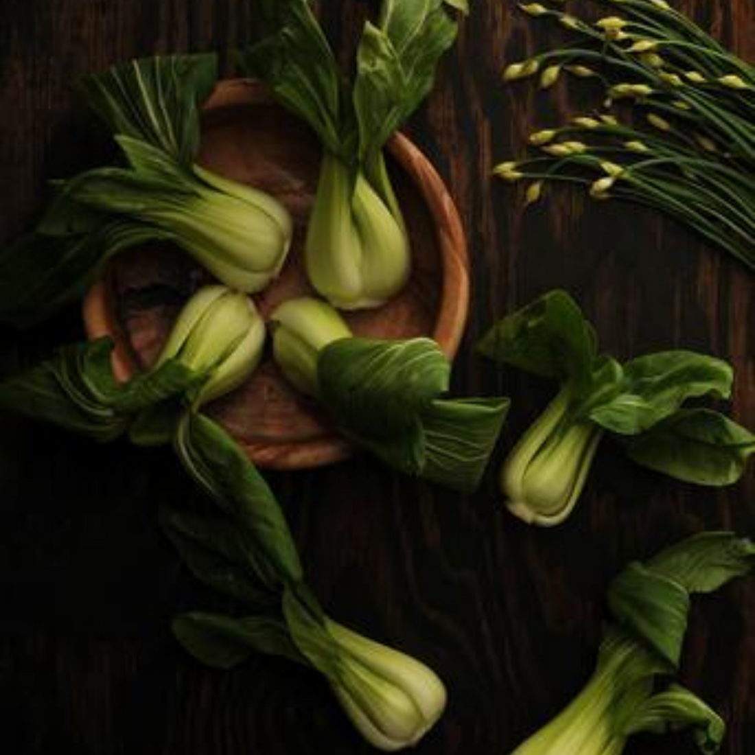 Fertility Superfoods