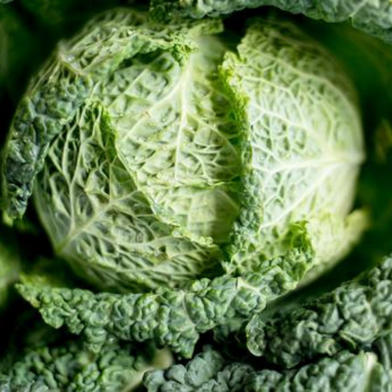 Fertility Superfood : Green Cabbage - detoxify, hormone regulating, antioxidant and fiber rich