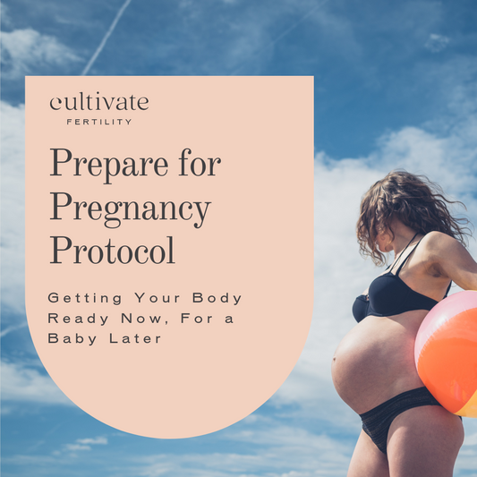 Prepare for Pregnancy Protocol - Self Study Course