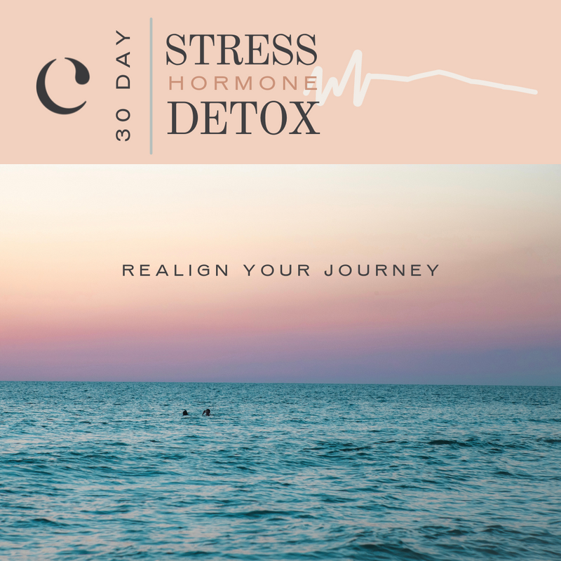 30 Day Stress Hormone Detox - Community Special!