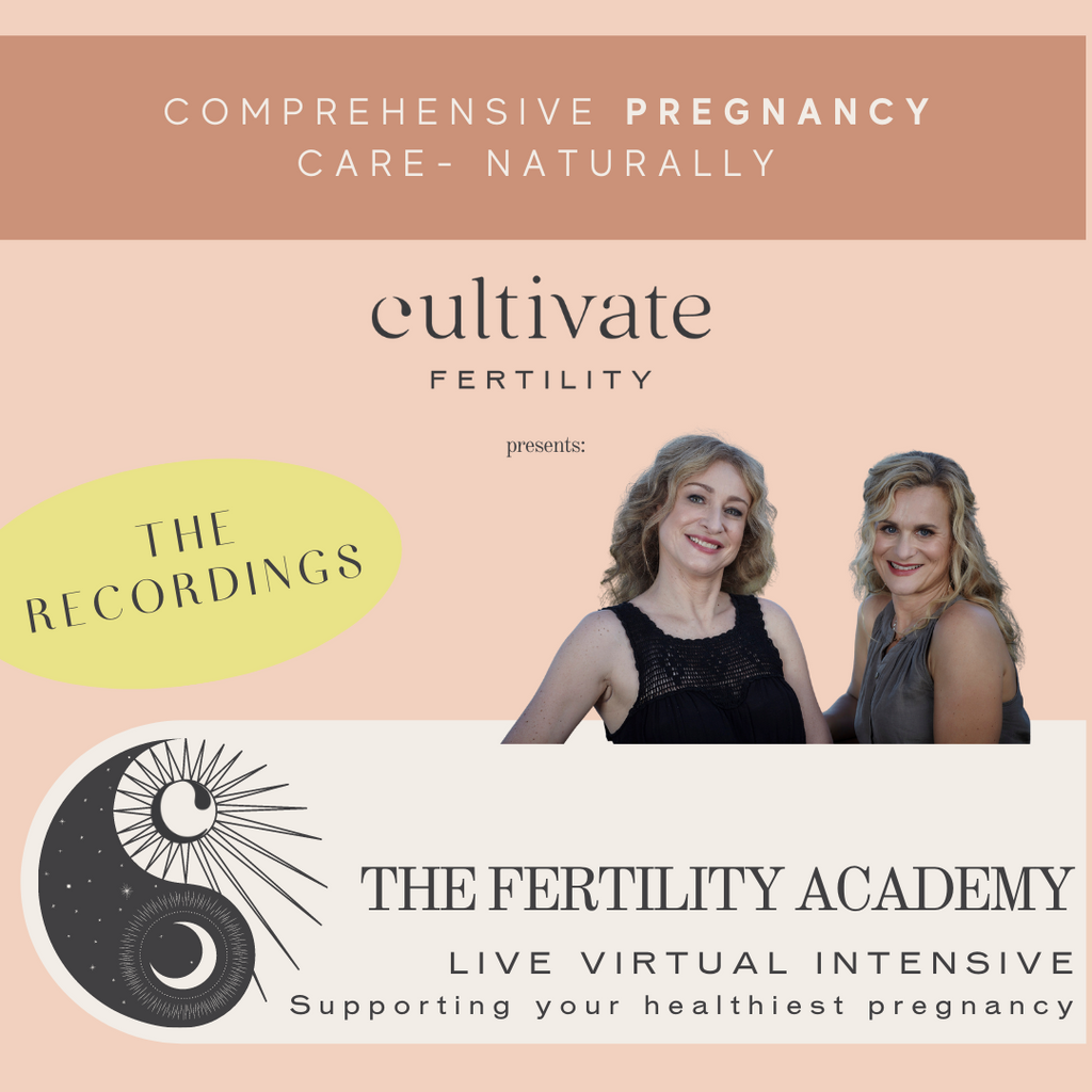 The Comprehensive Pregnancy Care Naturally Intensive