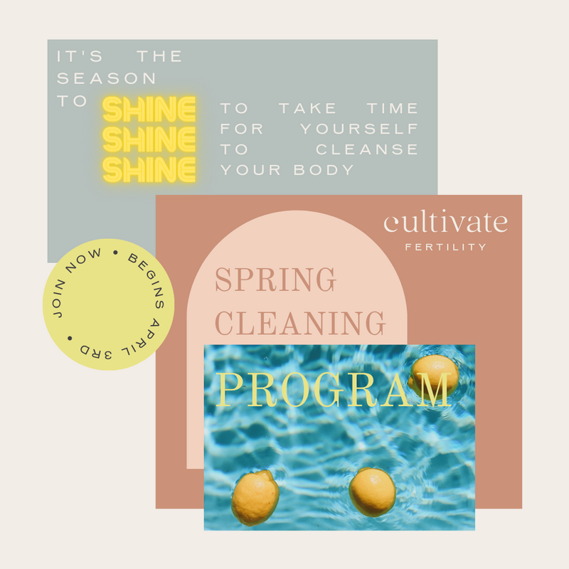 Spring Cleaning for Fertility 30 Day Program - BUNDLE