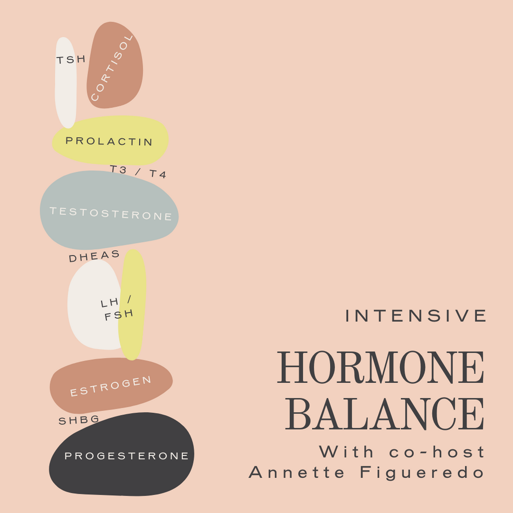 Hormone Balance Workshop & Intensive Package
