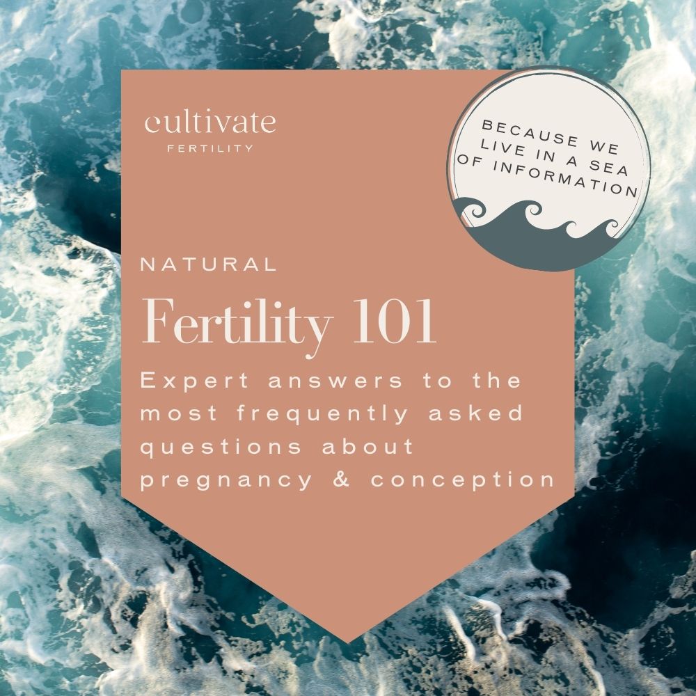 Fertility 101 Course