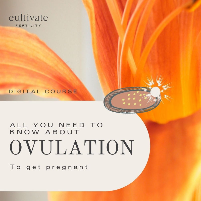 All You Need to Know About Ovulation to Get PREGNANT